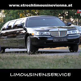 Vienna Car Styling