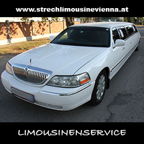 Vienna Car Styling